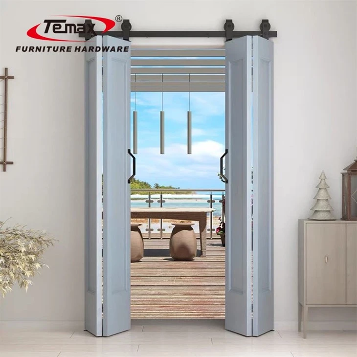 TEMAX Black Modern Barn Door With Folding System GC04